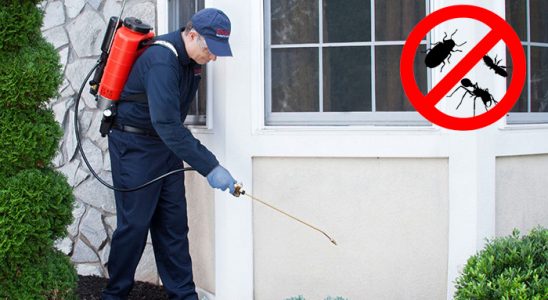 Karaçoban Dezenfeksiyon böcek ilaçlama ve haşere kontrolü — ilaclama-tr.com